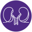Organ Transplant Support